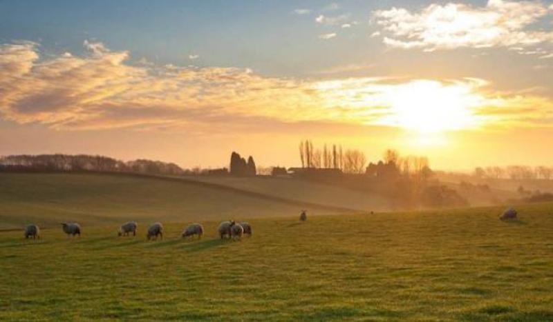 Make the most of the sun as Met Eireann predicts 'unsettled' Bank Holiday weekend u-turn