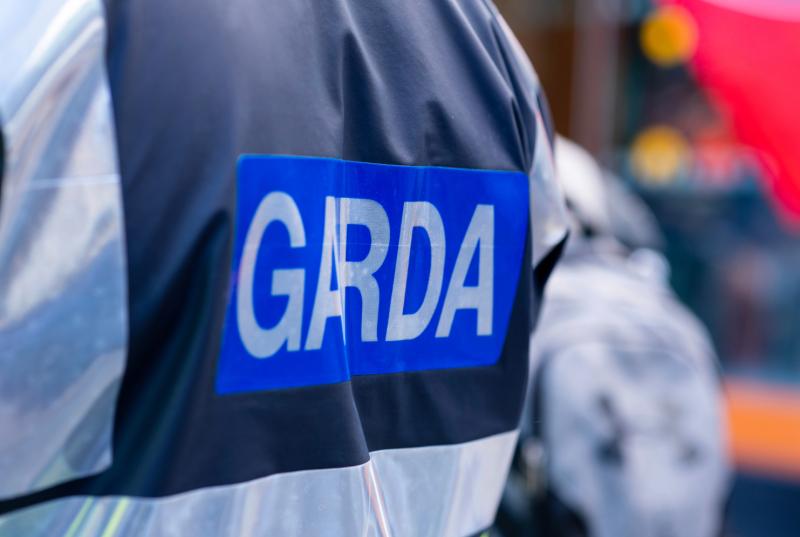 Gardai investigating a number of thefts in one night in Tullamore