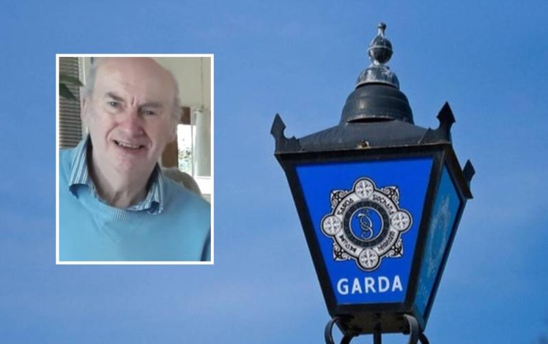'A vulnerable man' - Family and Garda&iacute; renew search for 67-year-old man missing for over a week