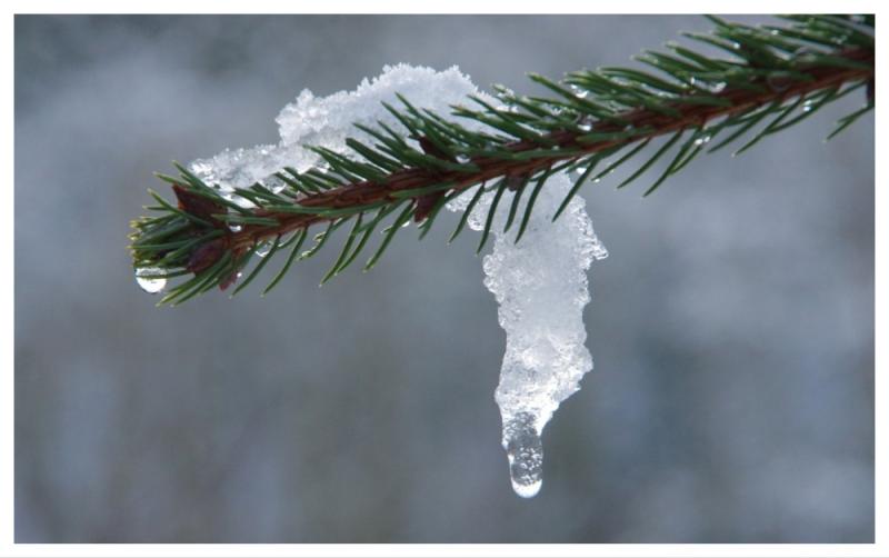 The big thaw is finally here as Met &Eacute;ireann forecasts an end to cold snap this weekend