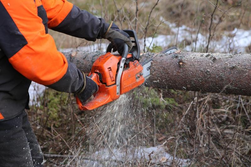 'Well-intentioned' members of the public urged not to use chainsaws in Storm &Eacute;owyn aftermath
