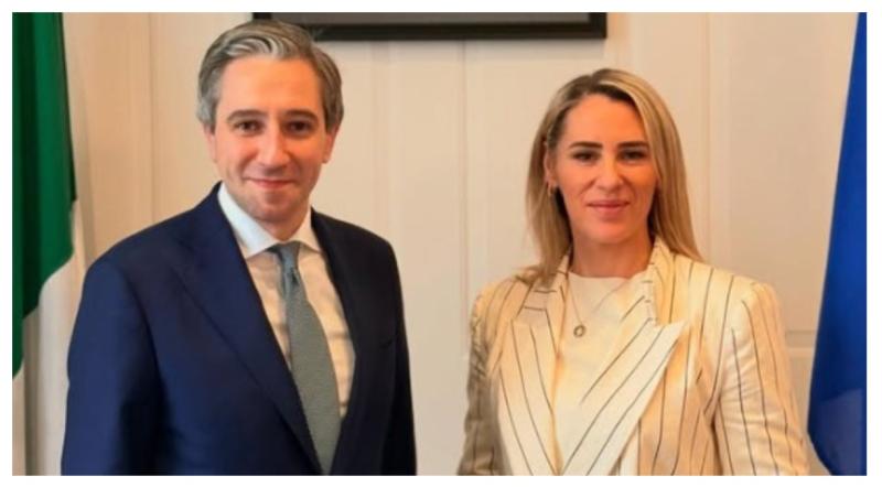 RT&Eacute; broadcaster resigns as she is named as a Fine Gael senator