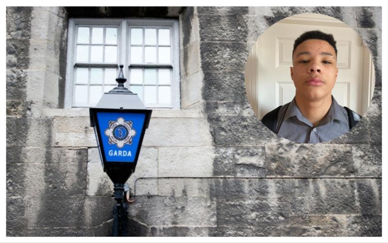 ALERT: Garda&iacute; 'concerned for wellbeing' of missing 14-year-old as urgent appeal launched