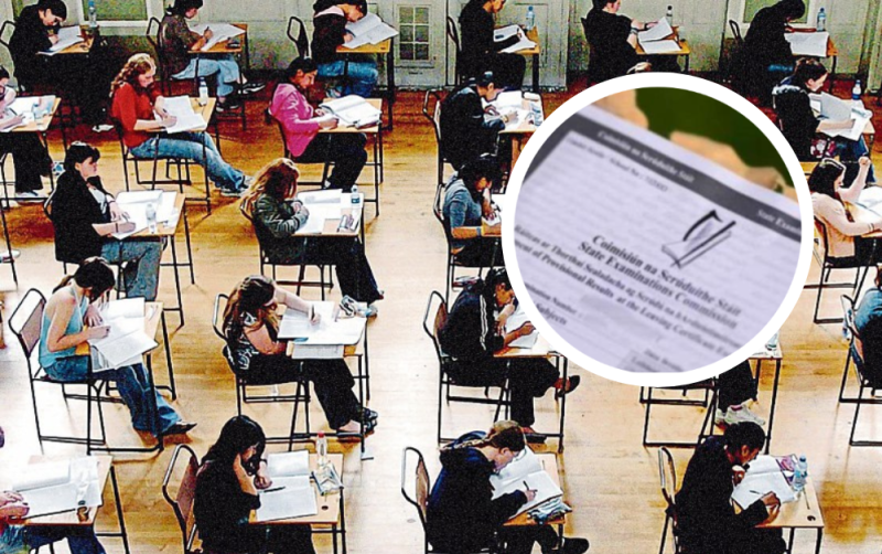 EXPLAINER: How 2025 Leaving Cert students could lose college places to 'Covid kids'