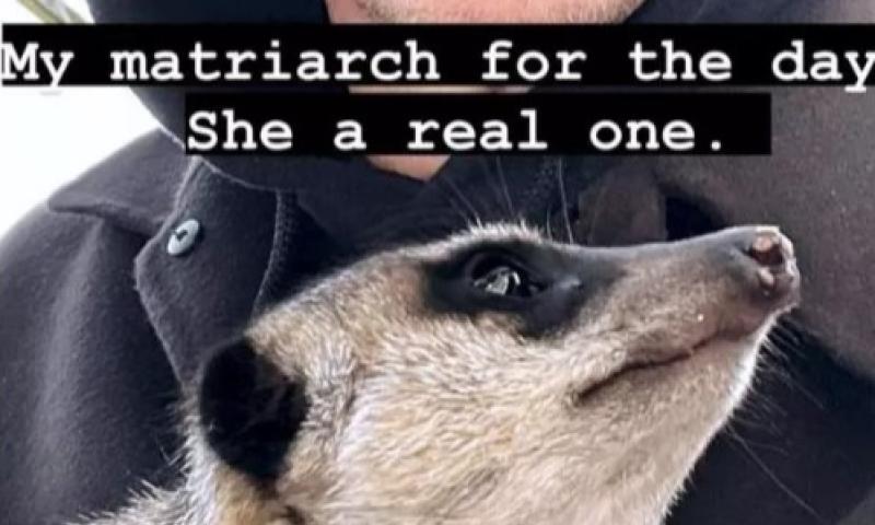 PICS: Hollywood superstar spotted enjoying Irish tourist attraction 