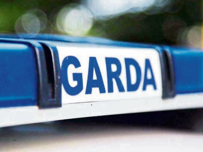 Man dies days after being involved in crash in Offaly as garda&iacute; make major appeal