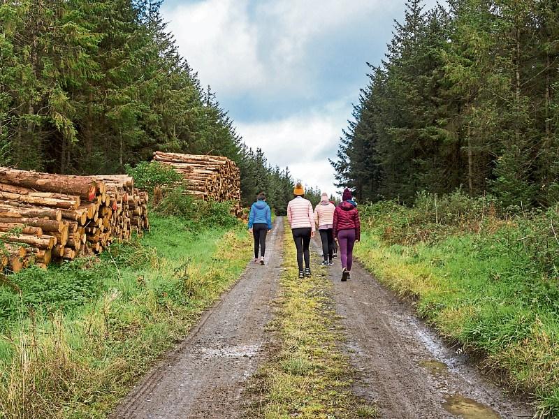 &nbsp;'Humans are a social species' - Irish mental health charity urges people to go outside