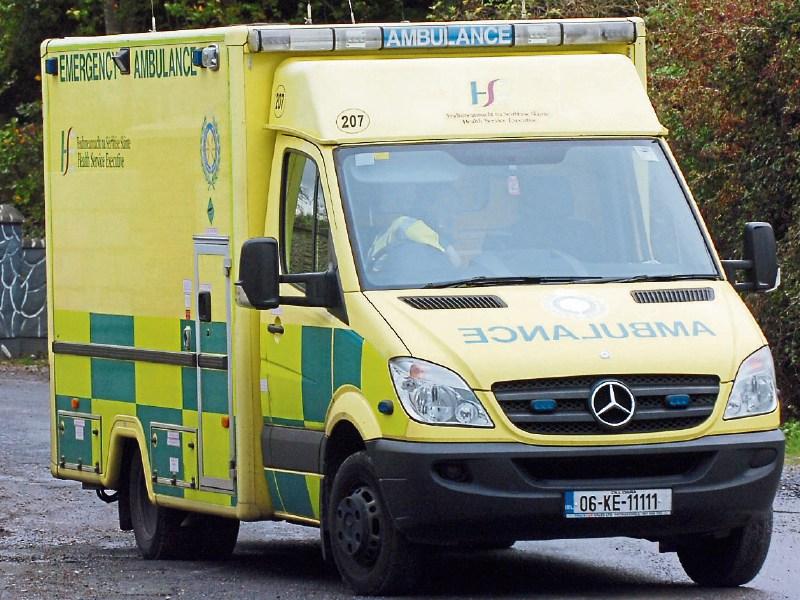 Woman recovering in hospital following vicious attack by two dogs in Dublin