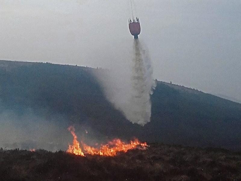 Hill farmers pour cold water on Junior Minister Doyle's wild fire comments