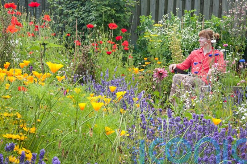 Green Gardens: Change your mood in minutes by planting colour in the garden