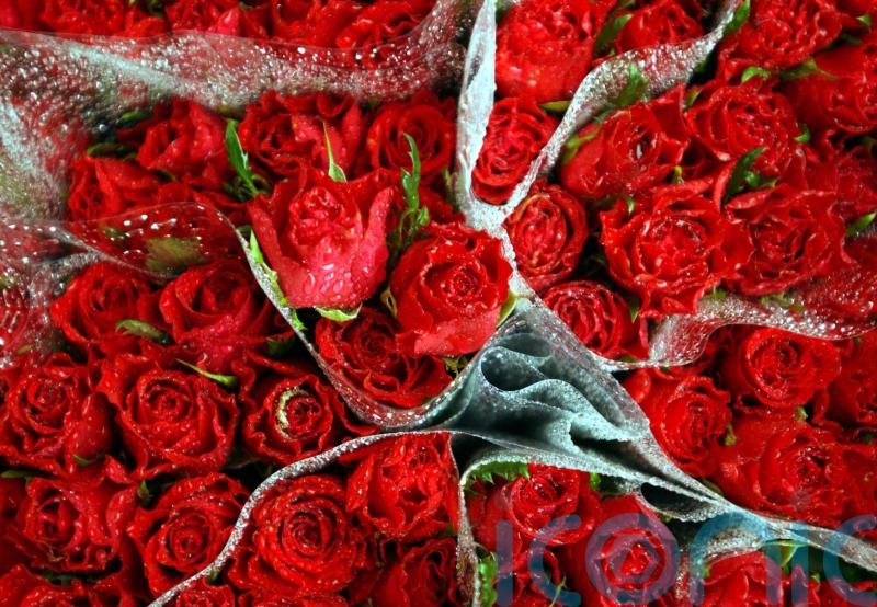 Forgot to buy Valentine's Day flowers? A new study says it's not your fault! 