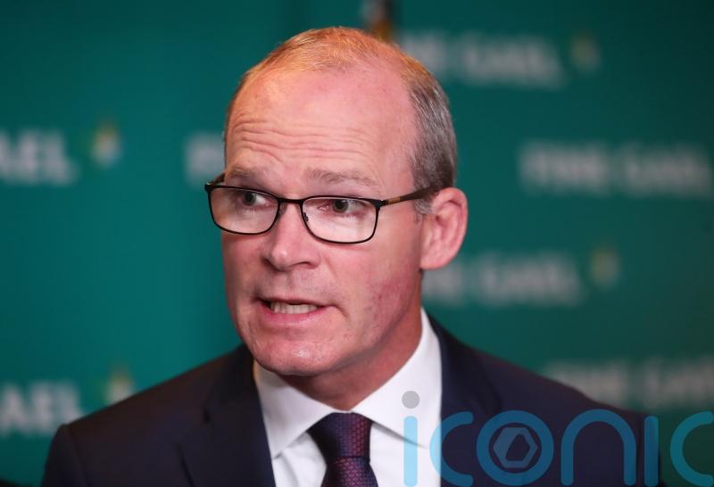 Coveney says peace is needed urgently in Ukraine amid new Russian offensive