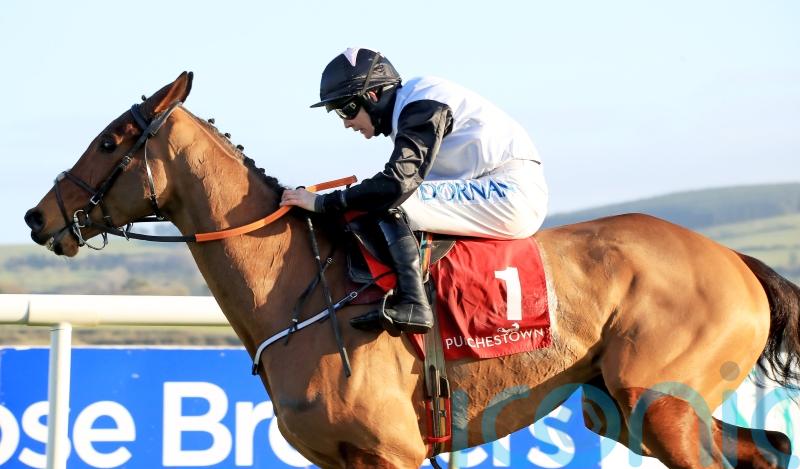 Bob Olinger aiming for Cheltenham-Punchestown double today