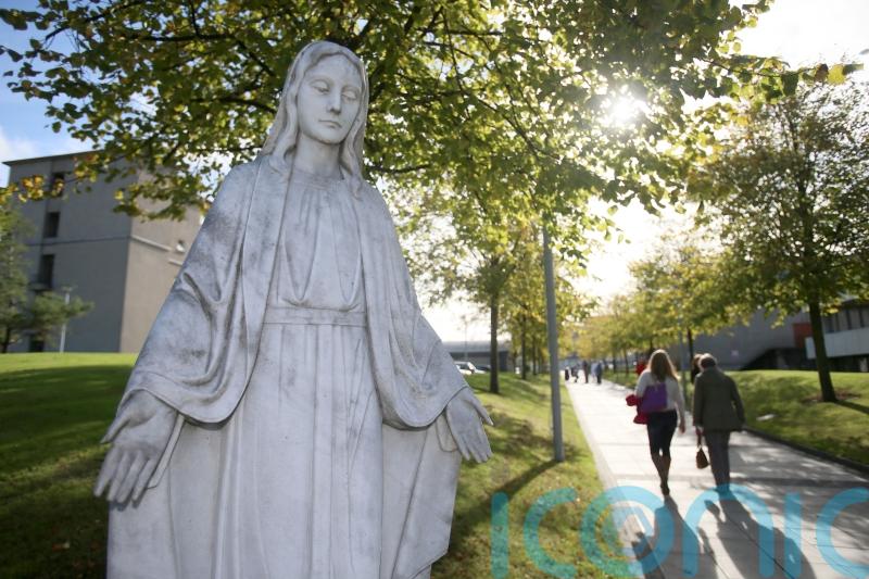 Oireachtas Committee to request deferral of Cabinet approval for NMH plan