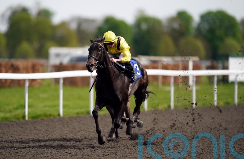 Royal Ascot next for German Guineas hero Maljoom