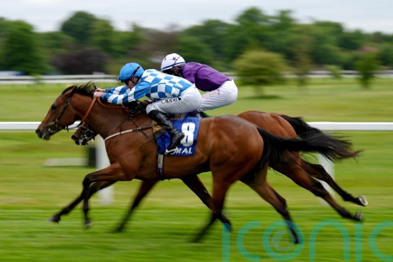 Maria Branwell collars Crispy Cat in National Stakes