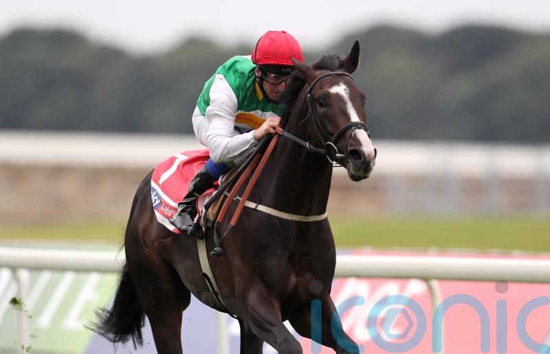 Pyledriver &lsquo;in the right place&rsquo; for Coronation Cup repeat