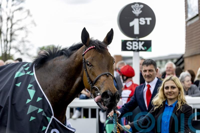 Clover considering future options for Rogue Millennium