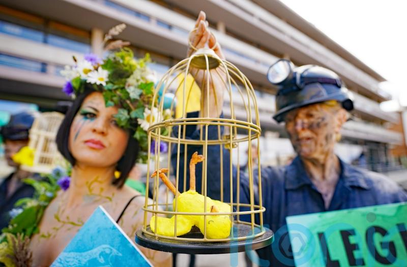 Climate campaigners picket &lsquo;talking shop&rsquo; biodiversity conference