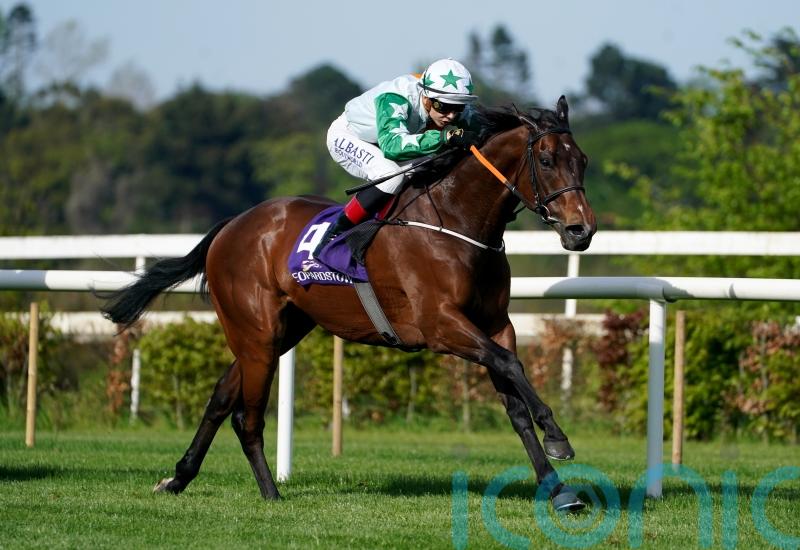 Pretreville out to hit right notes in Ballycorus Stakes