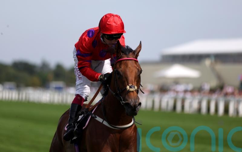 Walker favouring Falmouth next for Dreamloper