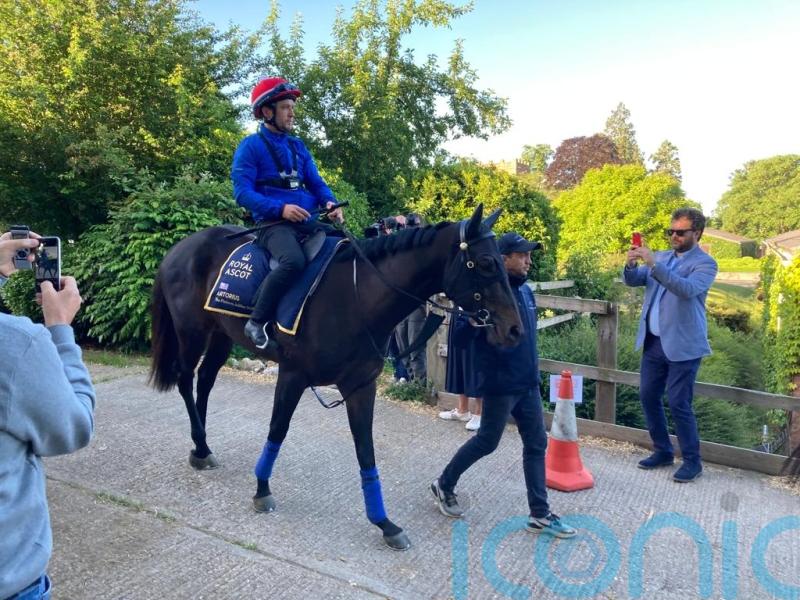 Freedman name set to be back in lights at Ascot