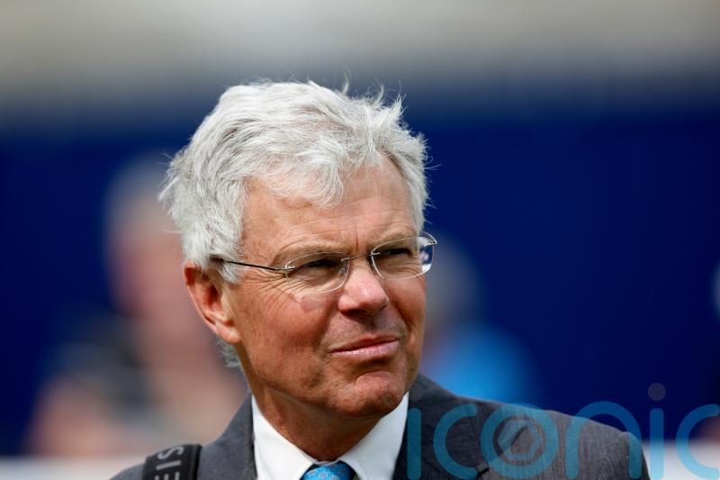 Classy performance from Stay Alert at Newbury