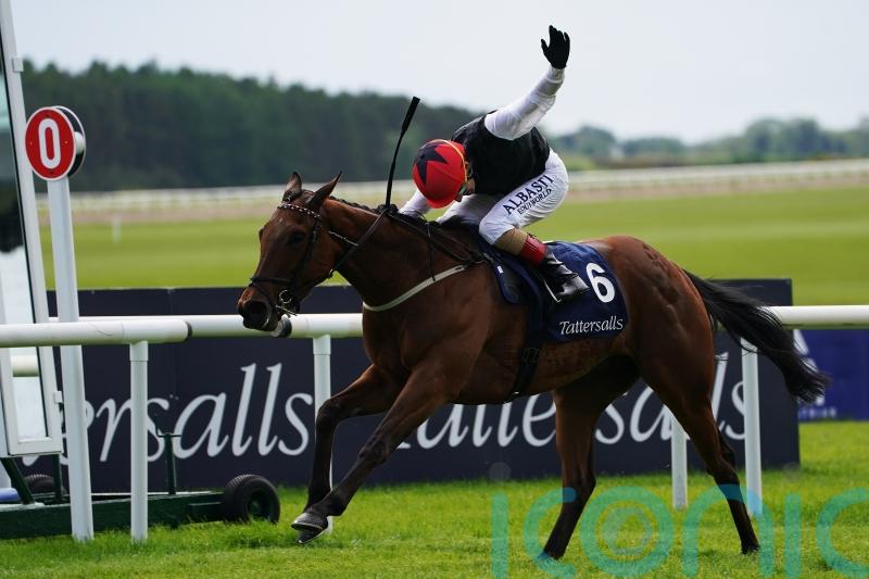 Weld on weather watch ahead of Homeless Songs Coronation date