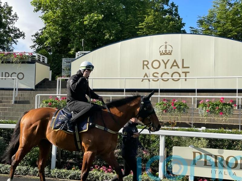 Waller delighted with star sprinters ahead of next week