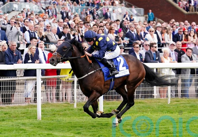Harry Three too good in valuable York sprint