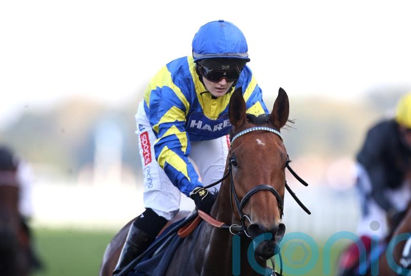 Quick ground set to scupper Trueshan&rsquo;s Gold Cup run