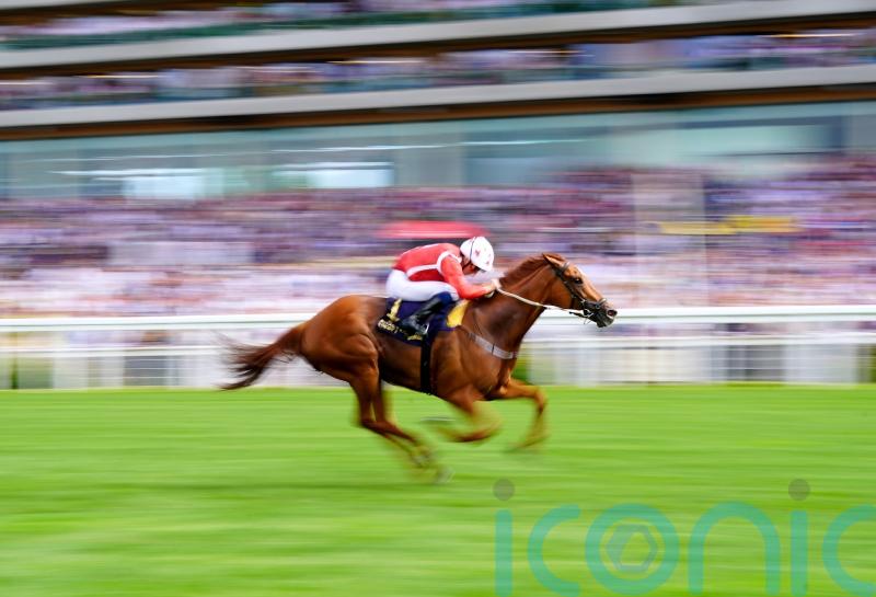 Saffron Beach impresses in Duke of Cambridge