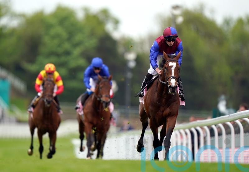 Savvy success not beyond Woods contender in King Edward