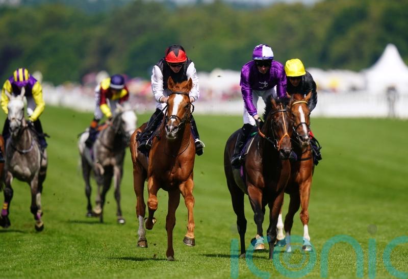 So close but so far for Stradivarius in Gold Cup