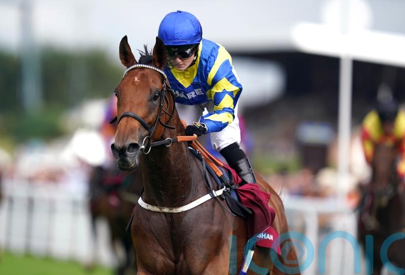 Ground again scuppers Trueshan &ndash; Newcastle might be next stop