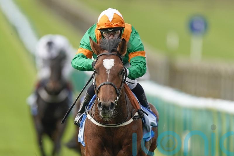 Lone Eagle team looking for suitable option