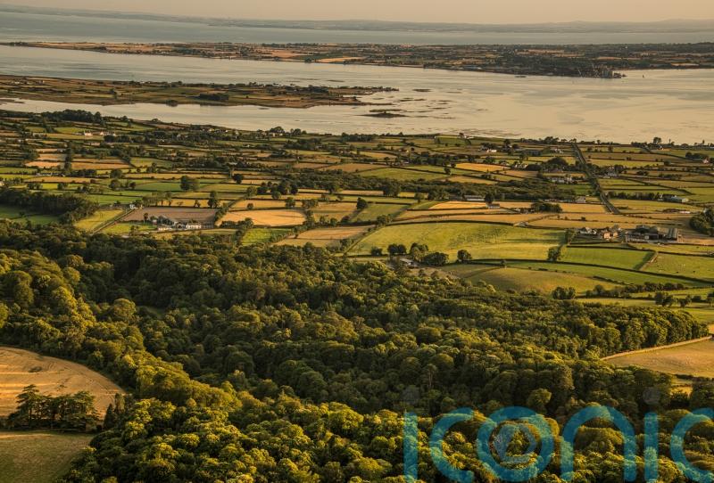 Ancient woodland in Northern Ireland to open to visitors for first time in 500 years