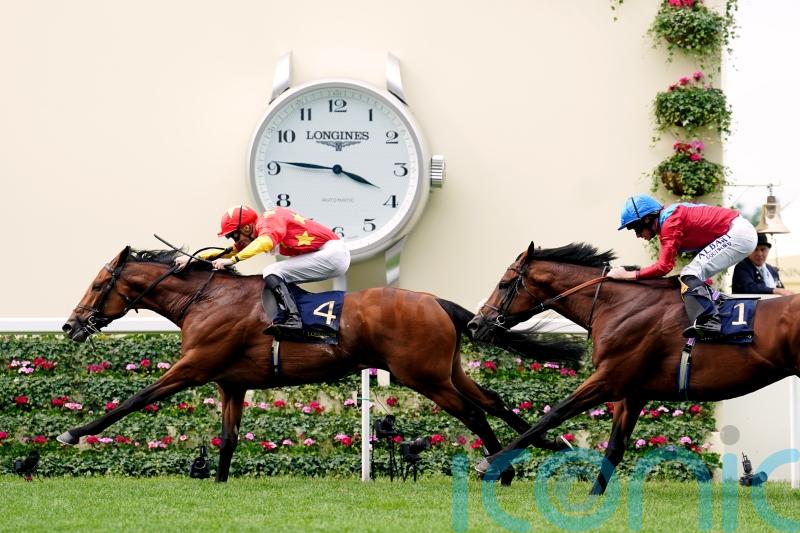 Cox Plate defence likely to be major aim for State Of Rest