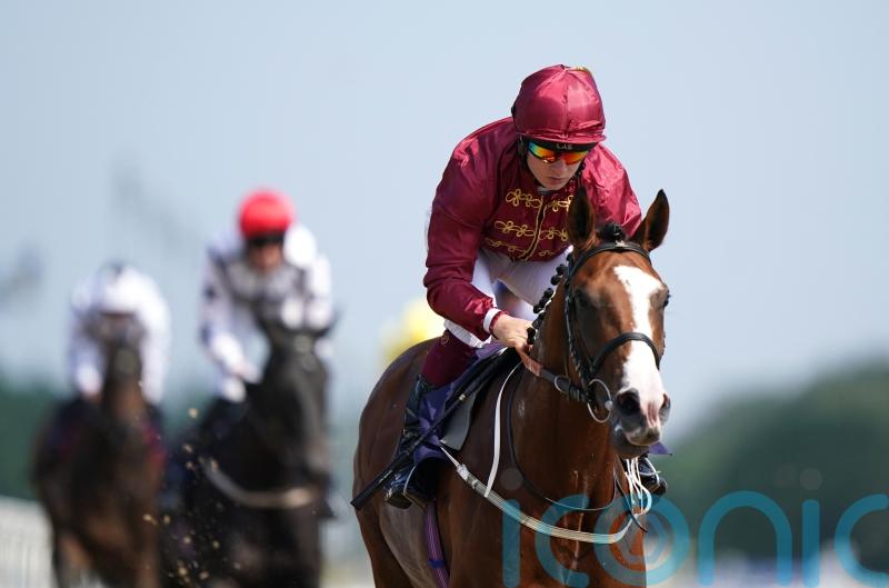 Superlative option for unbeaten juvenile Lion Of War