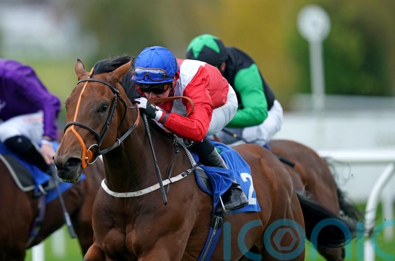 Newmarket spin unlikely for Salisbury scorer Benefit