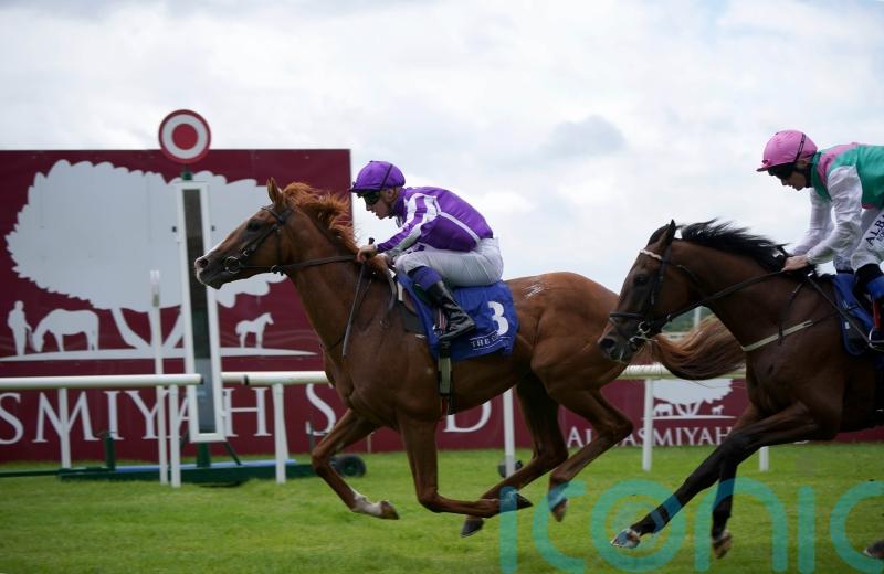 Proud And Regal looks a name to remember