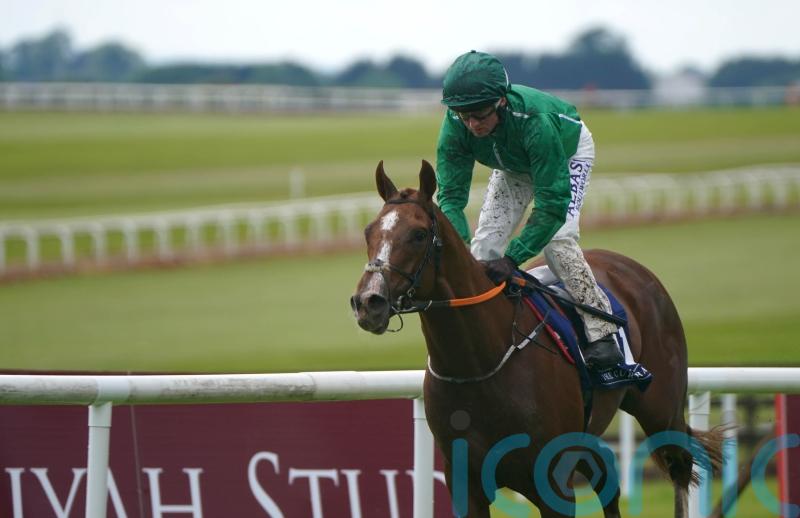 Irish Cesarewitch target for HMS Seahorse