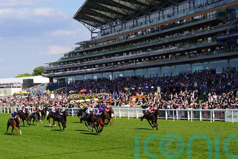 Rocket Rodney ready to roar in Dragon Stakes