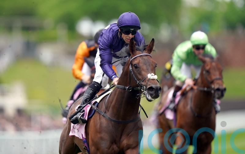 Palmer hoping to taste July Cup glory with Flaming Rib