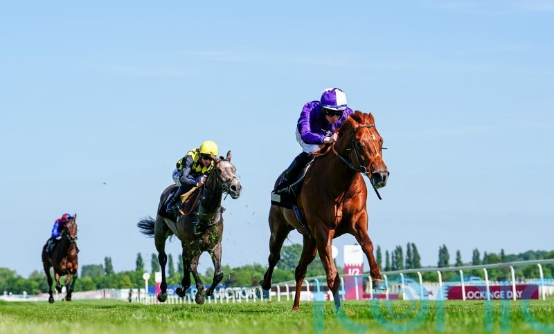 Persian Force seeking another July Stakes honour for Hannon