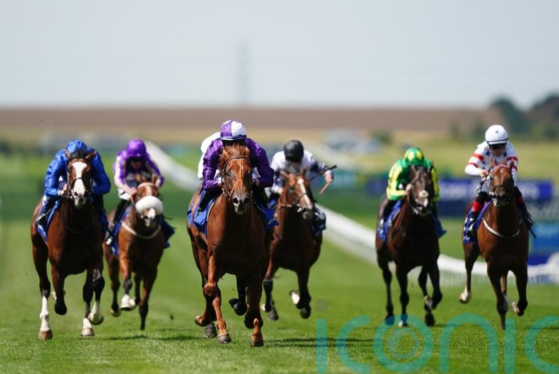 &lsquo;Group One winner waiting to happen&rsquo; Persian Force stamps class on July Stakes