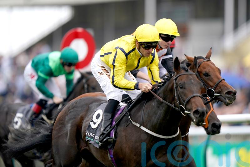 No negatives as Perfect Power looks to continue Group One charge