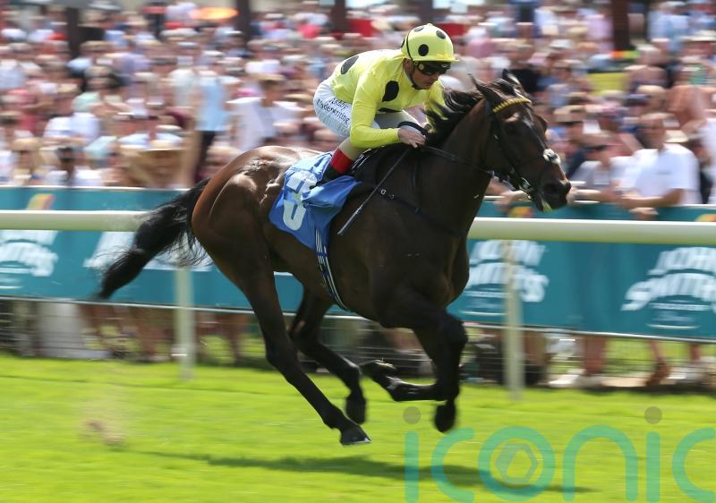 Without A Fight lands knockout blow at York