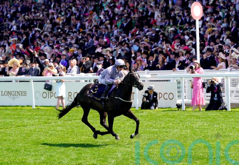 Burke favouring juvenile options for Queen Mary victor Dramatised