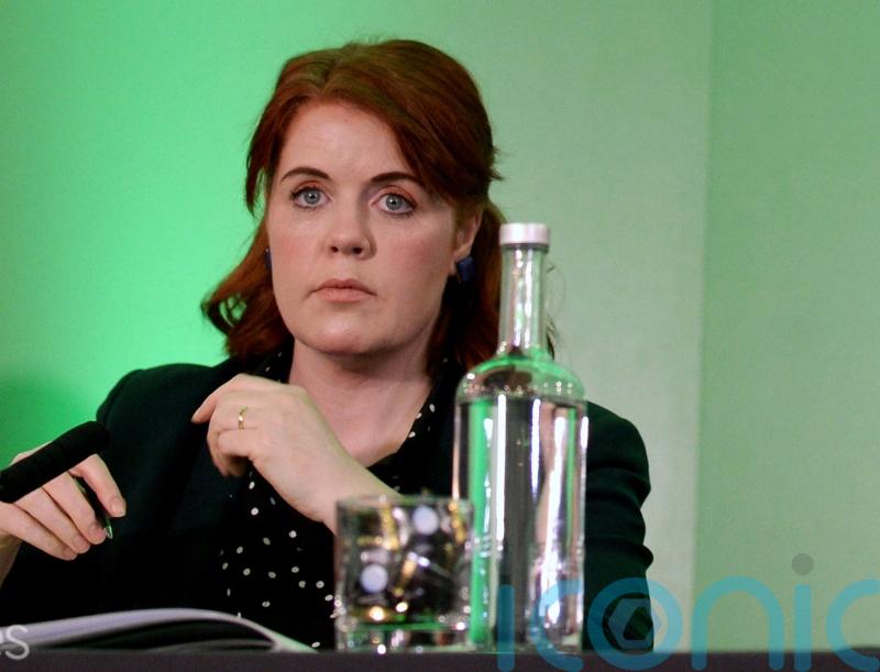 Suspended Green TD undecided over Government no confidence vote